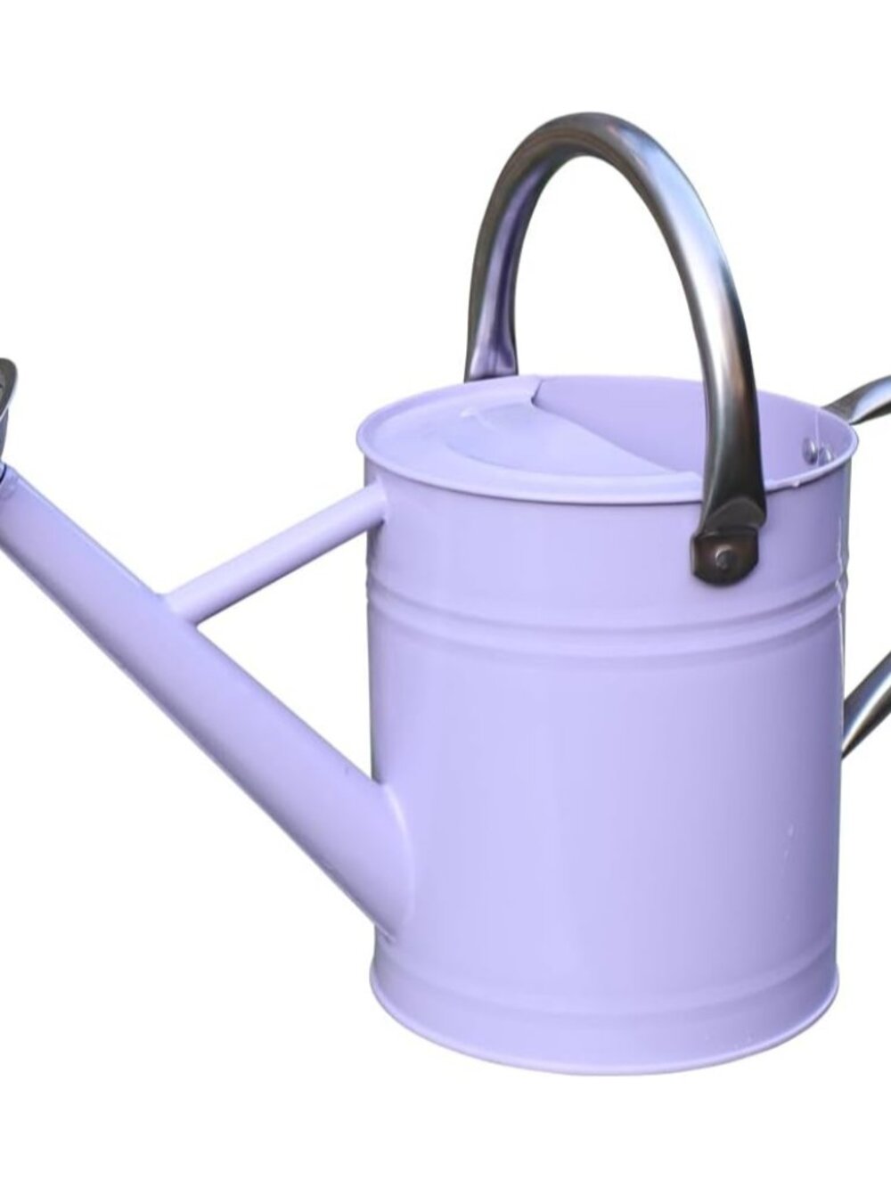 Metal Watering Can 1 Gallon for Outdoor Garden Plants,Purple